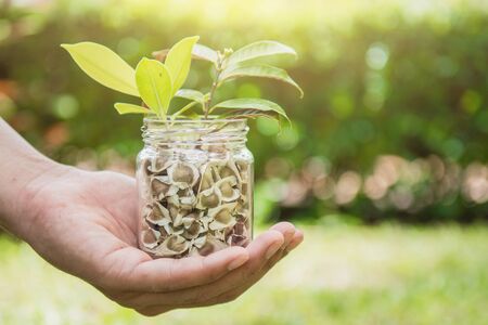 Hand holding seeds and seedlings in the jar.Ecology conserve concept.の写真素材