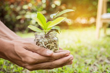 Hand holding seeds and seedlings in the jar.Ecology conserve concept.の写真素材