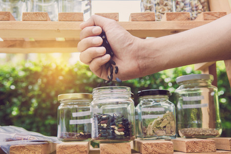 Seeds on hand with jar ,on wooden shelves background.Ecology conserve concept.の写真素材