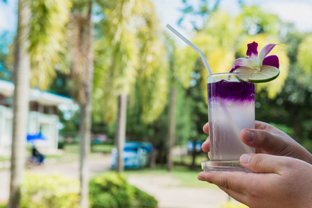 Hand hold Juice of Butterfly pea with lemon and ice in glass. Herb drink for refreshment.の写真素材
