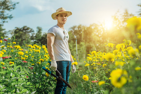 Man with scissors cutting grass in marigold garden,gardening concept.の写真素材