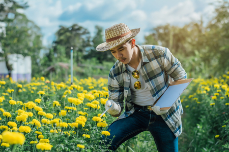 Men Health Check Flowers(marigold),gardening concept.