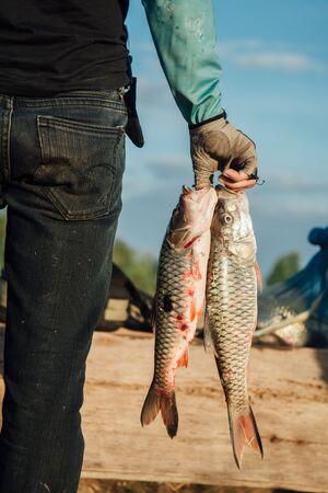 Happy fisherman holding  fish in his hands.Fish from his fishing.の写真素材