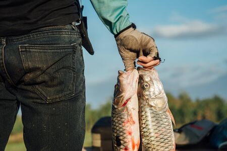 Happy fisherman holding  fish in his hands.Fish from his fishing.の写真素材