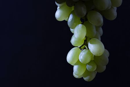 green grape quiche mish in hand on a black background close-up; Studio photographyの写真素材