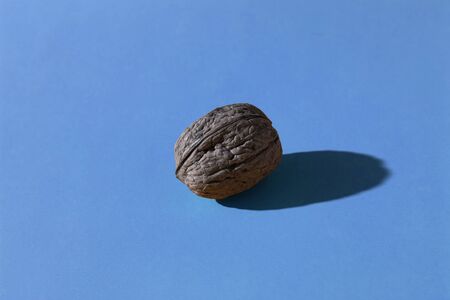 one whole walnut lies on a blue colored background; photo with hard lightの写真素材