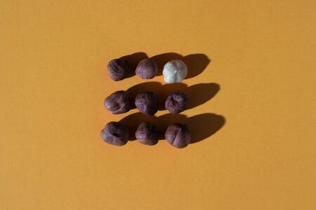 nine pieces of shelled hazelnut on an orange colored background; photo with hard lightの写真素材