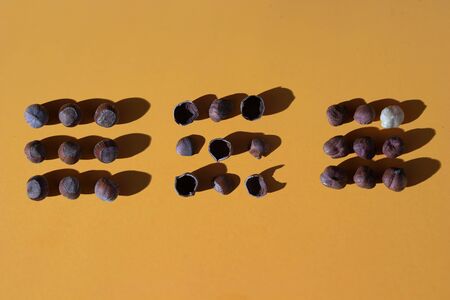 3 heaps of hazelnuts: whole, shell and peeled; still life 3 stagesの写真素材