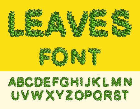 Leaves  Font Green. Eco alphabet. letters from the tree's leavesのイラスト素材