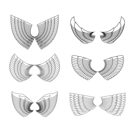 Wings Set. Vector illustrationのイラスト素材