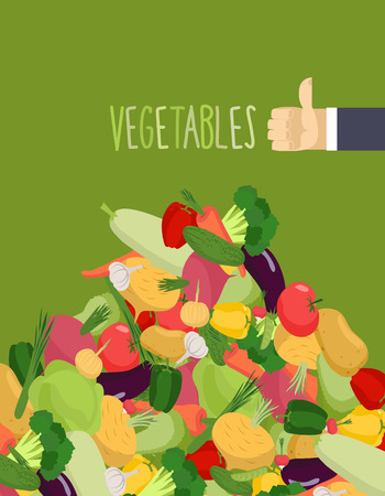 Bunch vegetables. Turnips and squash. Hand with the thumb up a favorable gesture. Proper nutrition of vegetablesのイラスト素材