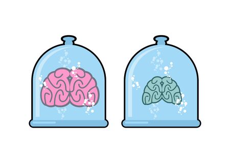 Human brain in laboratory flask for experiments. のイラスト素材