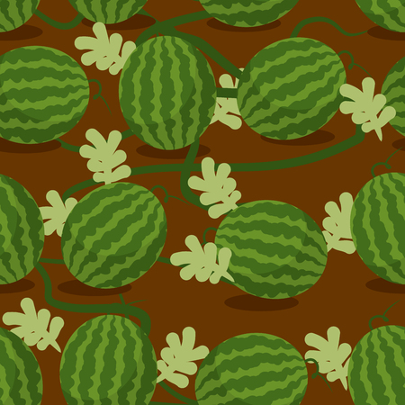 Water-melon plantation seamless pattern. Fruity vector background. Texture plants on bed. Plot sowed watermelonsのイラスト素材