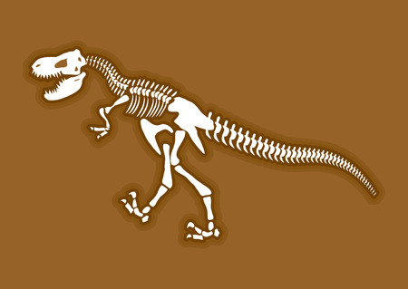 Dinosaur skeleton. Ancient animal bones in ground. Fossil Tyrannosaurus. archaeological excavations. Prehistoric monsterのイラスト素材