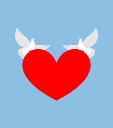 White Dove holds heart. Two white bird is symbol of purity. Red heart symbol of love. Two lovebirds bear love. Element for Valentines day.のイラスト素材
