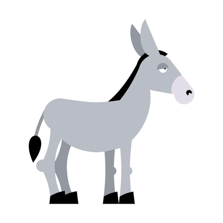 Donkey on white background. Donkey isolated. Cartoon donkey. domestic stubborn  Muleのイラスト素材