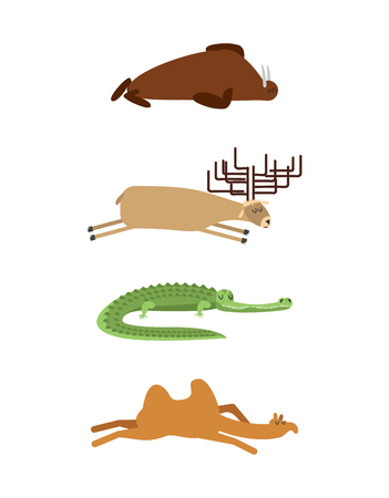 Sleeping animals set 1. Seal and moose. Crocodile and camel. wild animal sleeps. Sleepy beastのイラスト素材