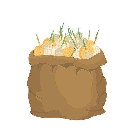 Onion Burlap bag. sack of vegetables. big crop on farm. sackful Bulbsのイラスト素材