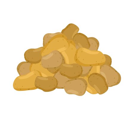 Bunch potato. lot of vegetables. big crop on farmのイラスト素材