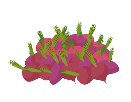 bunch of beets. lot of vegetables. big crop on farmのイラスト素材
