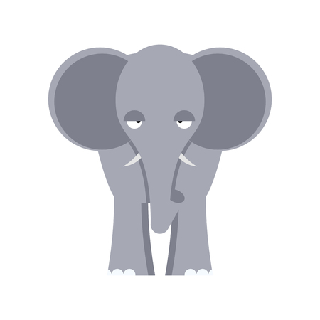 Elephant front view isolated. Big wild African beast on white backgroundのイラスト素材
