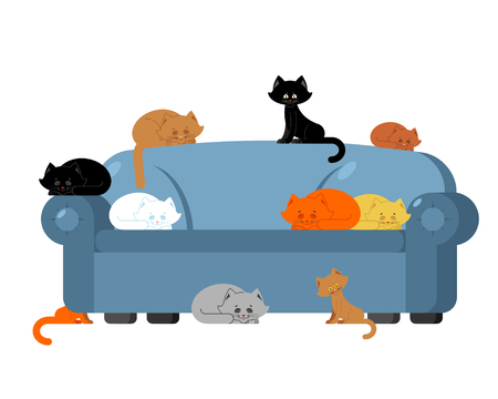 Many Cats on couch. kittens on sofa. Furniture cat lady.のイラスト素材