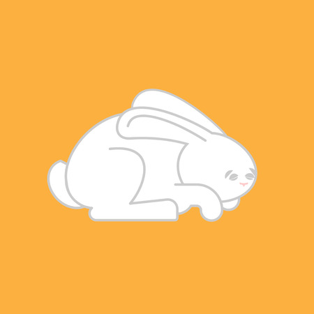White Rabbit isolated. cute Hare. bunny Animal