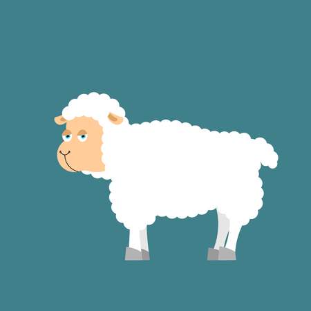 Sheep farm isolated animal. ewe on white backgroundのイラスト素材