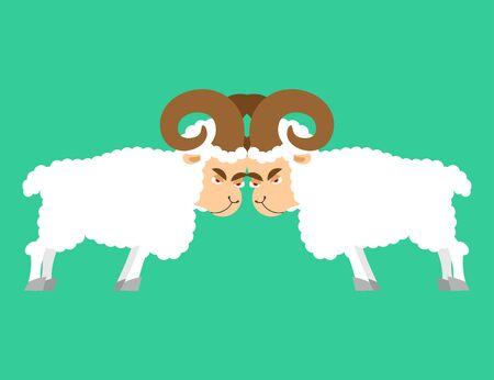 Sheep to butt. Confrontation beast. Competition of male ram. Battle farm animalsのイラスト素材