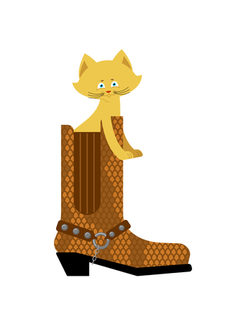 Cat in boot isolated. Home pet in shoesのイラスト素材