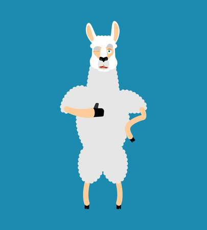 Lama Alpaca thumbs up and winks emoji. Animal happy emoji. Vector illustrationのイラスト素材