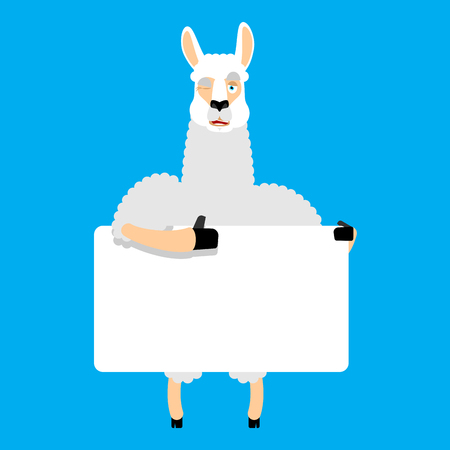 Lama Alpaca holding banner blank. Animal and white blank. Beast thumb up and winks joyful emotion. place for text. Vector illustrationのイラスト素材