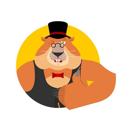 Groundhog day. Groundhog in hat thumbs up and winks. Woodchuck happy emoji vector illustration.のイラスト素材