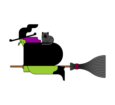Witch on broom is flying isolated. Halloween Vector illustration.
のイラスト素材