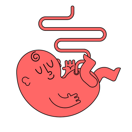 Newborn baby with umbilical cord isolated. embryo vector illustrationのイラスト素材