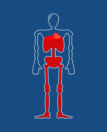 Transparent glass Skeleton and Blood. Body bottle inside Red liquid. Vector illustration
のイラスト素材