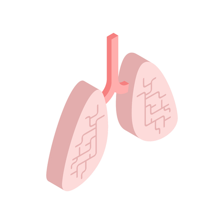 Lungs isometric isolated. Internal organ 3D. anatomy of human body. Organs systems body
のイラスト素材