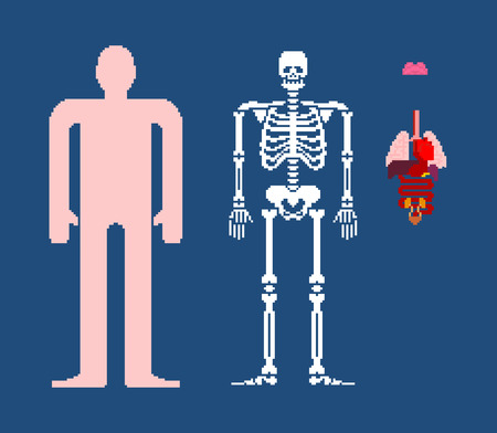 Human anatomy pixel art. 8bit Internal organs and skeleton. Pixelate 16bit. Old game computer graphics style

のイラスト素材