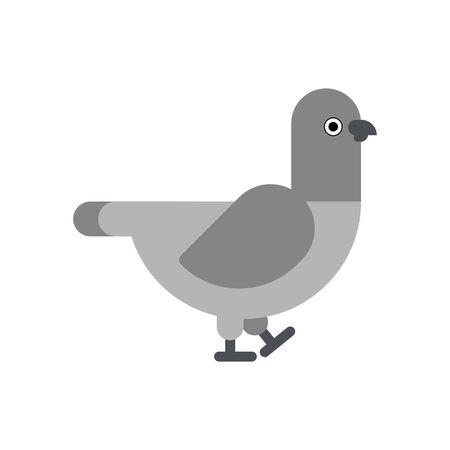 Pigeon isolated. Dove sign. City bird symbol. vector illustrationのイラスト素材