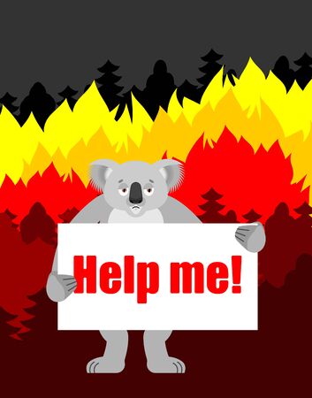 Koala with poster -Help me. Fire in Australia. vector illustrationのイラスト素材