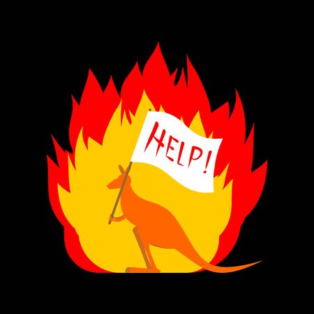 Kangaroo with poster -Help. Fire in Australia. vector illustrationのイラスト素材