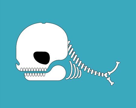Whale skeleton isolated cartoon. skull silhouette underwater animal. vector illustration のイラスト素材