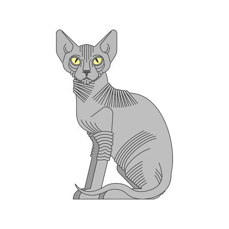Sphynx cat isolated. hairless cat breeds. Pet vector illustrationのイラスト素材
