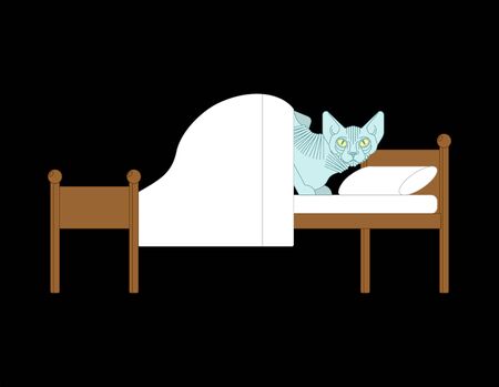 Sphynx cat under covers on bed. Pet vector illustrationのイラスト素材