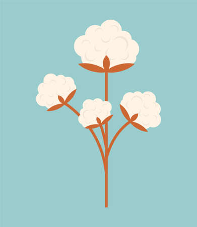Cotton isolated. Clap flower. Cottons Inflorescence vector illustrationのイラスト素材