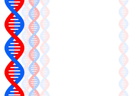 DNA strand background. Deoxyribonucleic Acid Molecule backdrop. Genetic chromosome spiralのイラスト素材