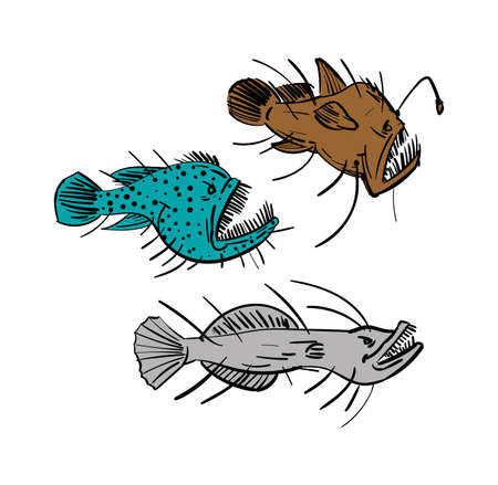 Angler Deep sea fish hand drawing set. Vector illustrationのイラスト素材