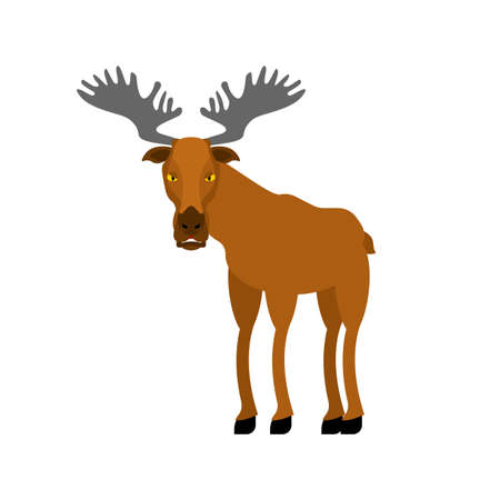 Elk cartoon isolated. Wild forest animal. Deer Vector illustration.のイラスト素材
