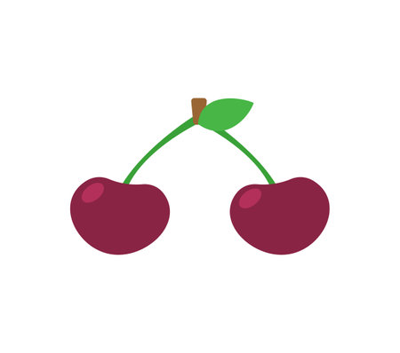 Cherry isolated. Cherries on white background. vector illustration