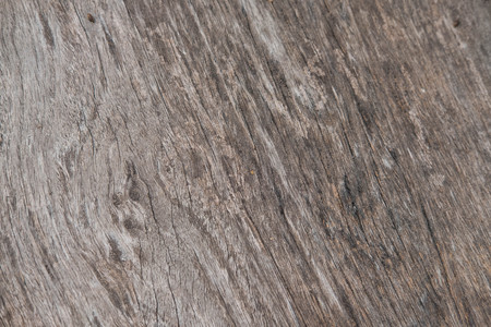 the old wood backgroundの写真素材